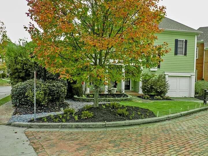 brick driveway of green house with front yard tree with leaves changing colors