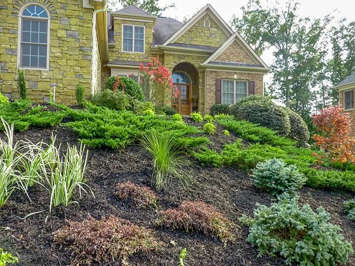 front yard landscaping for stone house with green softscaping and shrubbery
