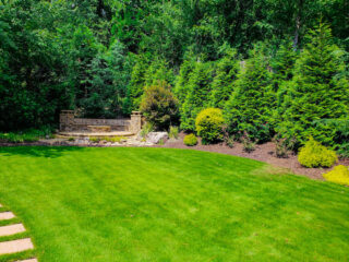 A green lawn is enclosed by dense shrubs and trees, with a short stone stairway near the back.