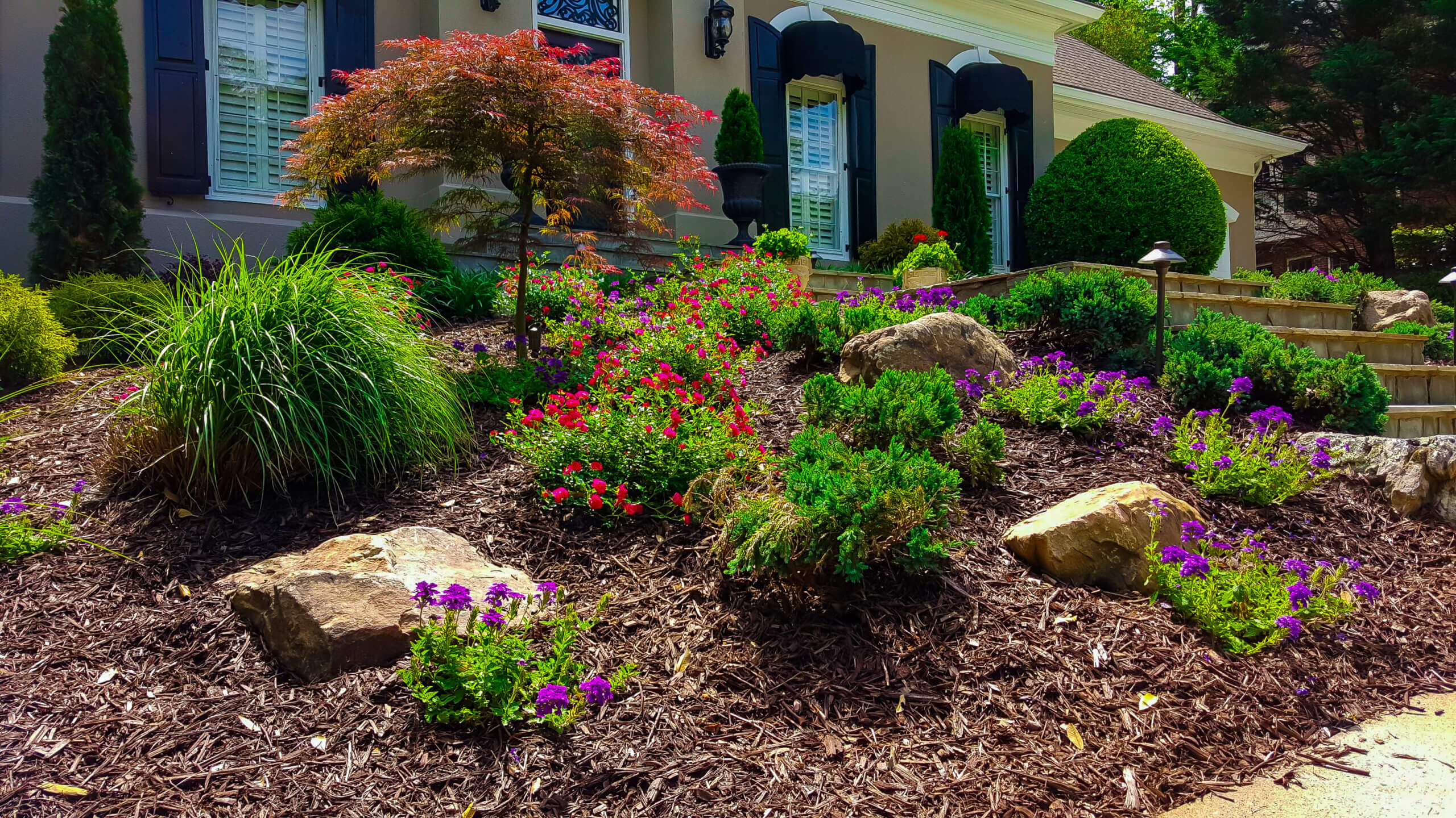 Outdoor Makeover: Care Of New Landscape Plants