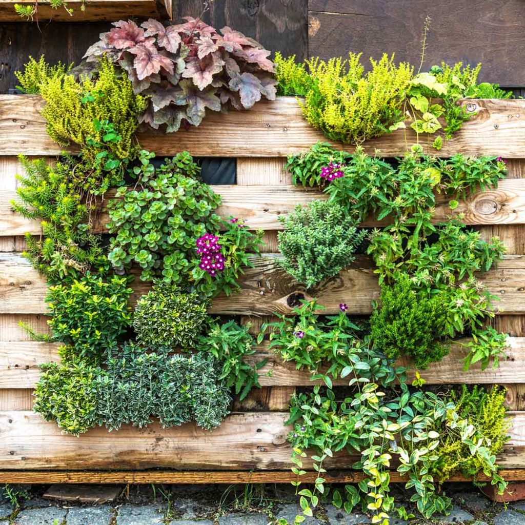 Outdoor Makeover : Ways to Use Landscaping to Hide Unsightly Yard Elements
