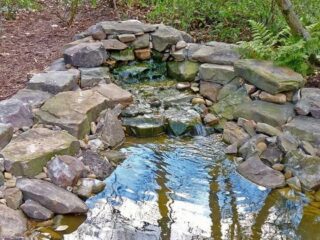 A small pond reflects trees below a low stone waterfall surrounded by rocks and garden planting.