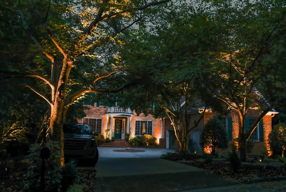 Outdoor Makeover :  Outdoor_Lighting_With_Tree_Shade