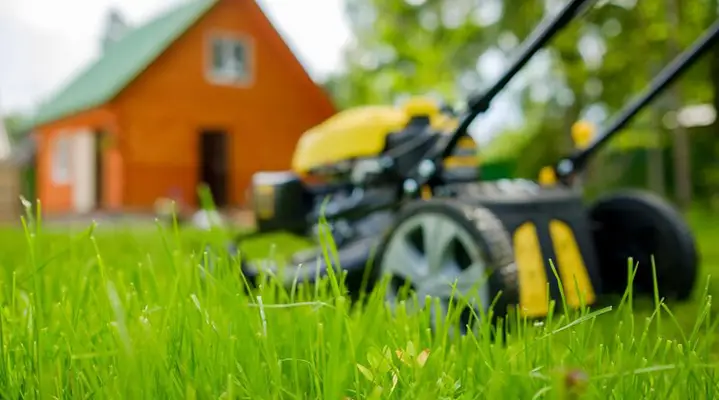 Outdoor Makeover:  Best-Lawn-Care-Ideas