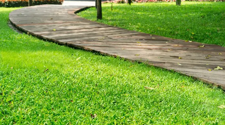 Outdoor Makeover:  Best-Lawn-Treatments-In-Atlanta