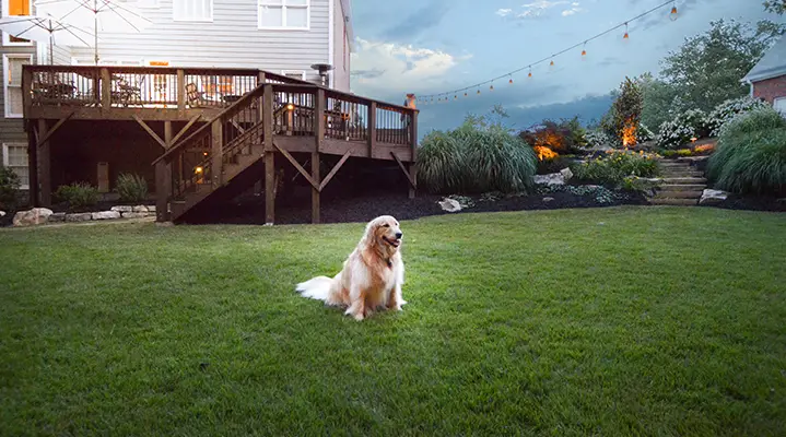 Outdoor Makeover:  Lawn-Care-With-Landscaping-Ideas