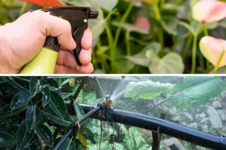 Two close-up images show a hand using a spray bottle near leaves and water droplets on garden foliage and tubing.