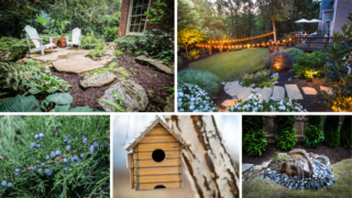 Collage of garden patios, string lights in a yard, a birdhouse, juniper berries, and a landscaped rock with plants.