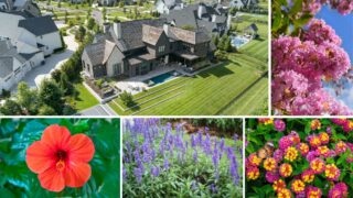 Outdoor Makeover Blog Photos (81)