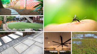 A collage combines garden paving, lawn areas, a ceiling fan, standing water and a close-up of a mosquito on skin.