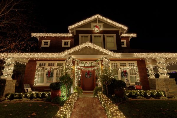 iStock 1293196426 - How to Decorate Outdoor Trees for a Beautiful Seasonal Landscape - How to Decorate Outdoor Trees for a Beautiful Seasonal Landscape