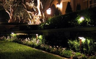Warm lighting illuminates tree trunks and planting beside a dark garden pond and a strip of lawn at night.