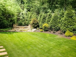 A green lawn is framed by shrubs and tall trees, with a short flight of steps at the back of the garden.