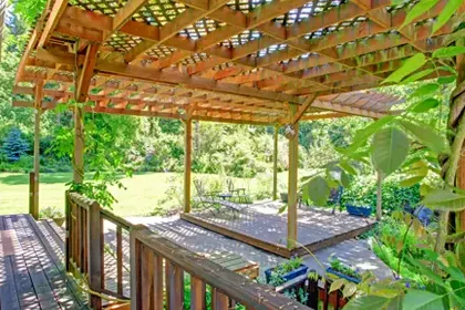 Pine Pergola