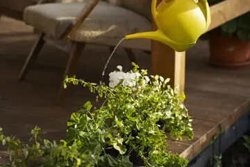 Grouping Plants by Water Needs