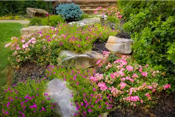 Flower Bed Maintenance And Planting