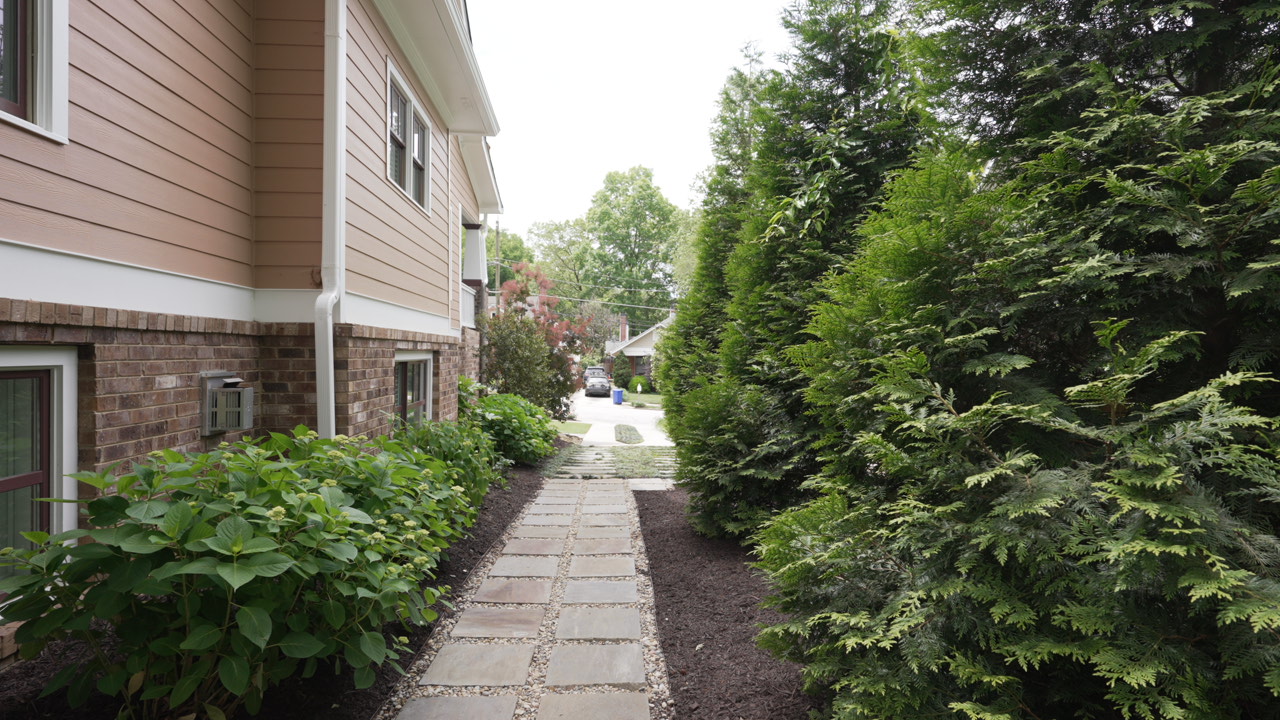 Pathway between shrubs and house