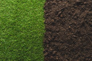 A close-up shows a straight boundary between dense green grass and dark bare soil.
