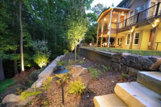 Well-lit backyard with stairs and plants