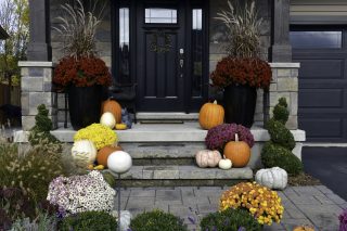 A front porch decorated with pumpkins, potted chrysanthemums, and a wreath on a black front door.
